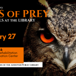 Birds of Prey - Live Animals at the Library