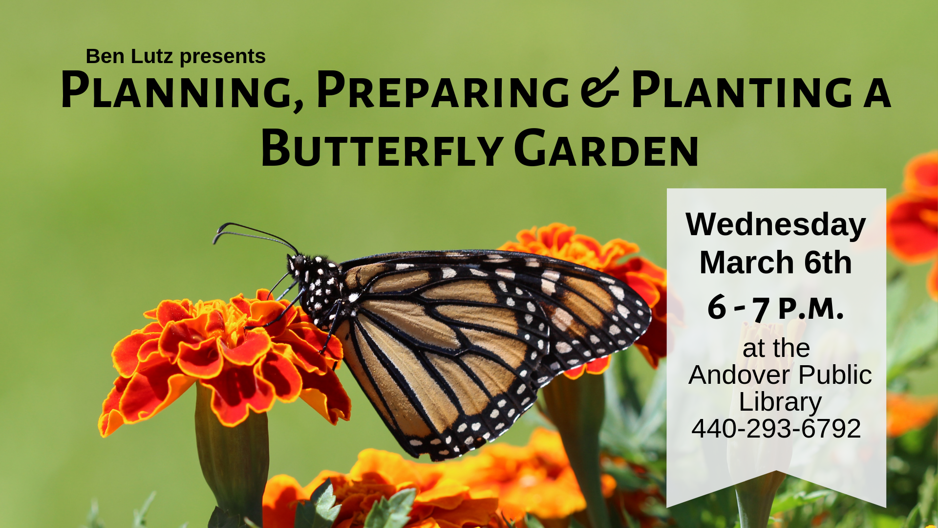 Planning, Preparing & Planting a Butterfly Garden