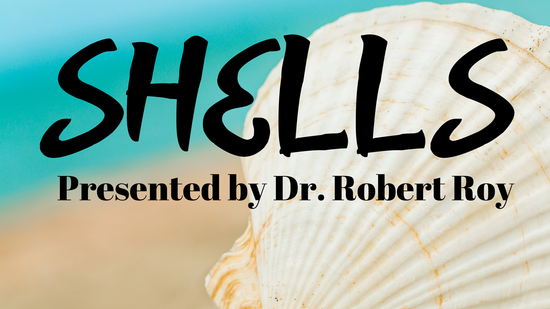 Shells with Dr. Robert Roy