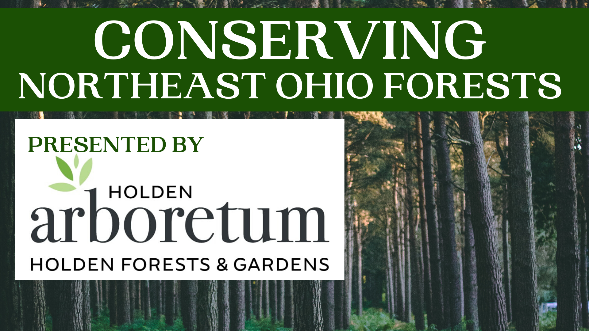 Conserving NorthEast Ohio Forests