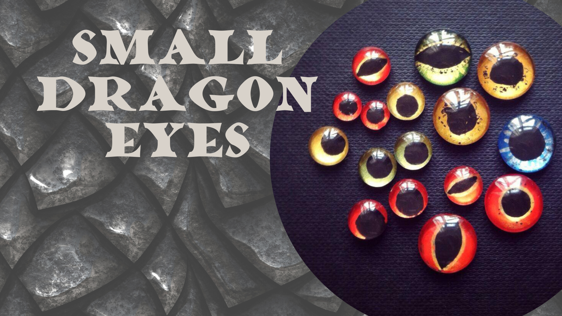 Small Dragon Eyes - Take & Make Craft