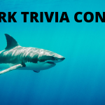 Shark Trivia Contest